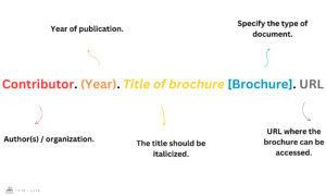 How to Cite a Brochure in APA